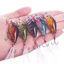 Conjunto de Isca Coloridos