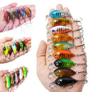 Conjunto de Isca Coloridos