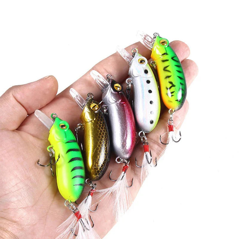 Conjunto de Isca Coloridos