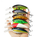 Conjunto de Isca Coloridos